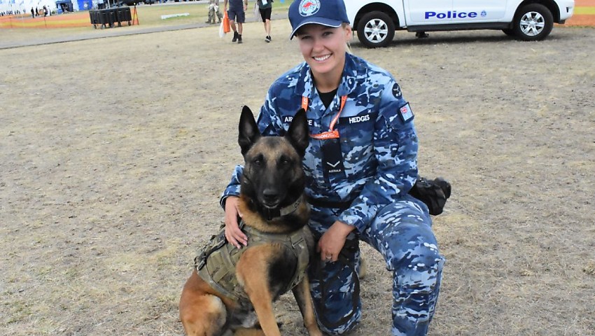 K9 dog best sale tags